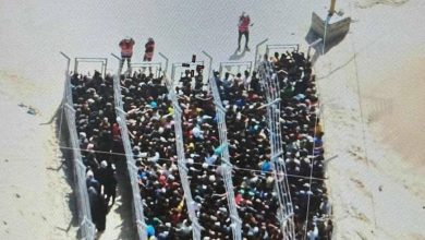 صورة الأونروا: لا يمكن إنجاز أي عملية إغاثة في غزة بالطريقة التي تمت اليوم