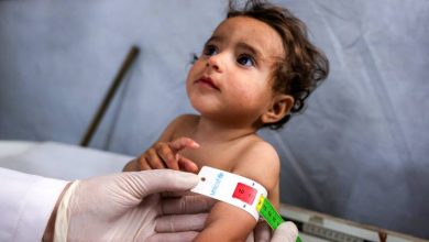 صورة | الأمم المتحدة: 92% من الرضّع في غزة بلا غذاء أساسي وتحذيرات من عواقب صحية دائمة