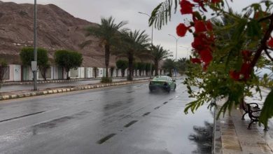 صورة | فيديو.. عواصف رعدية وأمطار غزيرة وسيول جارفة في عدة مناطق بالأردن