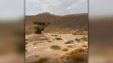 صورة | طقس العرب يكشف أعلى منطقة تسجل هطولًا مطريًا خلال حالة عدم الاستقرار الجوي بالأردن