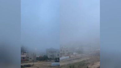 صورة | ضباب كثيف وأجواء باردة.. وفرص لهطول الأمطار الإثنين بهذه المناطق بالأردن