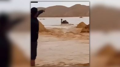 صورة | قصة اختفاء شاب أثناء محاولته إنقاذ ناقة جرفتها السيول في الحسا.. فيديو