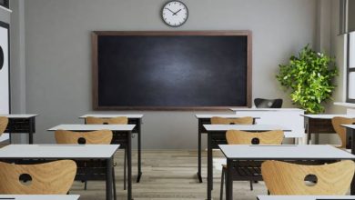 صورة | التربية تنشر تفاصيل جديدة بشأن قرار تأنيث التدريس حتى الصف السادس