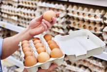 صورة | لأول مرة منذ أشهر.. تراجع أسعار بيع البيض في أمريكا