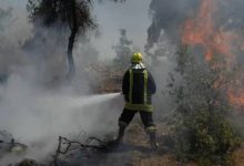 صورة | الدفاع المدني يوجه نصائح للمتنزهين لتجنب اندلاع الحرائق