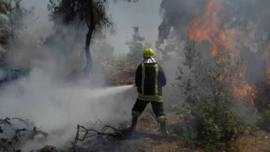 صورة | الدفاع المدني يوجه نصائح للمتنزهين لتجنب اندلاع الحرائق