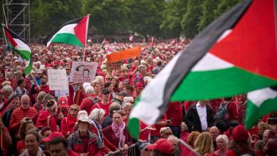 صورة | عشرات الآلاف يتظاهرون في لاهاي دعماً للفلسطينيين ورفضاً للإبادة بغزة.. فيديو