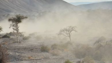 صورة | الأرصاد: أجواء حارة وأتربة مثارة خلال الأسبوع وتحذيرات من تدني الرؤية في البادية