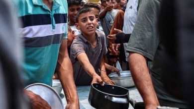 صورة | المكتب الإعلامي الحكومي بغزة: دخول 87 شاحنة مساعدات إلى القطاع بعد 81 يوما من الحصار