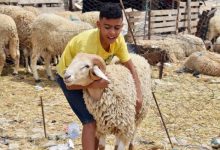 صورة | موعد تحري هلال شهر ذي الحجة وتوقعات عيد الأضحى والعطلة في الأردن