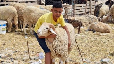 صورة | موعد تحري هلال شهر ذي الحجة وتوقعات عيد الأضحى والعطلة في الأردن