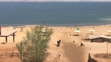 صورة | “شاطئ عمان السياحي” يبدأ باستقبال زواره في البحر الميت
