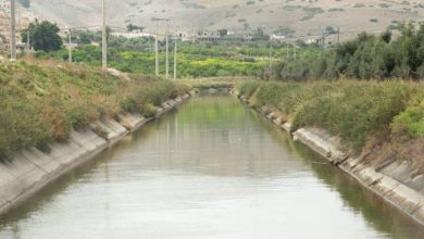 صورة | توقيف معتدٍ على موظف في سلطة وادي الأردن أثناء ضبطه بالتعدي على مياه قناة الملك عبد الله
