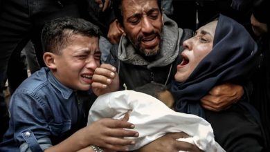 صورة | مأساة إنسانية.. طبيبة أطفال فلسطينية تفقد أبنائها التسعة بقصف الاحتلال على غزة