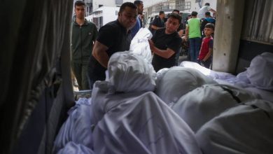 صورة | مصادر فلسطينية: شهداء وجرحى في مجزرة ارتكبها الاحتلال إثر قصف مدرسة تؤوي نازحين بمدينة غزة