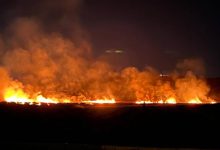 صورة | مستوطنون يحرقون أراضي زراعية فلسطينية في قرية المغير شمال شرق رام الله