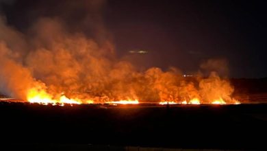 صورة | مستوطنون يحرقون أراضي زراعية فلسطينية في قرية المغير شمال شرق رام الله