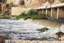 صورة | الجهات المختصة تتخذ إجراءات احترازية بعد نفوق أسماك في سيل جرش