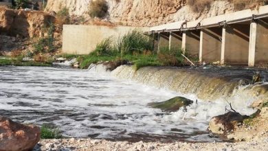 صورة | الجهات المختصة تتخذ إجراءات احترازية بعد نفوق أسماك في سيل جرش