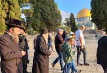 صورة مستعمرون يقتحمون “الأقصى” – سما الإخبارية