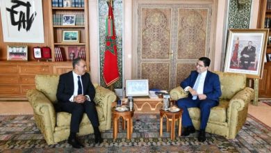 صورة بوريطة ونظيره المصري يدعوان إلى إبرام اتفاق لوقف إطلاق النار بشكل كامل في غزة وتنفيذ بنوده