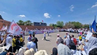 صورة أساتذة التعليم الأولي ينظمون وفقة حاشدة على خلفية مطالب بالإدماج في الوظيفة العمومية