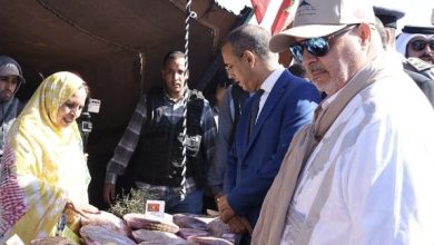 صورة بنيعيش يفتتح مهرجان الموكار طانطان لحماية وصون تراث الصحراء