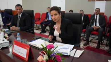 صورة من جرادة.. الوزيرة بنعلي تعلن عن خطة لإعادة هيكلة القطاع المنجمي وتعزيز الانتقال الطاقي