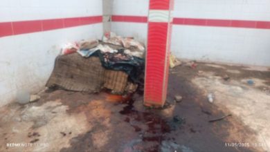 صورة جدل بخصوص تداول صور كارثية لمجزرة جماعية بنواحي الصويرة (+صور)