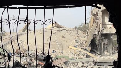 صورة هولندا: متظاهرون في لاهاي يطالبون الحكومة بموقف أكثر صرامة ضد إسرائيل بسبب غزة