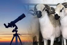 صورة فاتح ذي الحجة بعد غد الخميس وعيد الأضحى يوم السبت 7 يونيو 2025