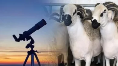 صورة فاتح ذي الحجة بعد غد الخميس وعيد الأضحى يوم السبت 7 يونيو 2025