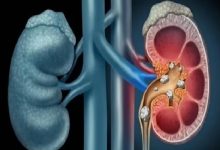 صورة الأحوال المدنية تقدم هدية لكل مولود عبر خدمة تسجيل المواليد الإلكترونية