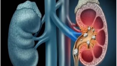 صورة الأحوال المدنية تقدم هدية لكل مولود عبر خدمة تسجيل المواليد الإلكترونية