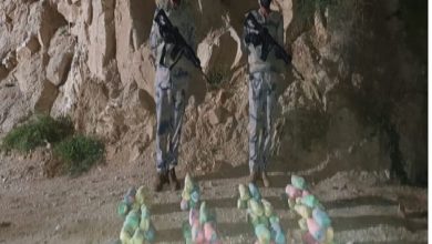 صورة حرس الحدود بمنطقة جازان يقبض على مخالفين لتهريبهما 40 كيلوجرامًا من القات