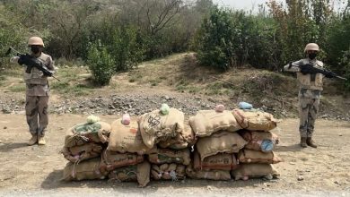 صورة دوريات الأفواج الأمنية بمنطقة جازان تحبط تهريب 68 كيلو جرامًا من القات