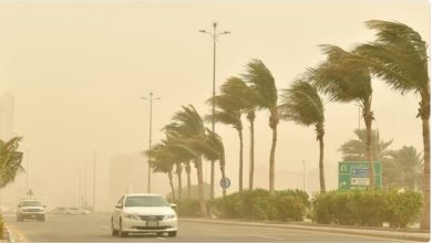صورة الحصيني: مايو يشتهر بحدة التقلبات الجوية ومن مواسم الأمطار عند العرب