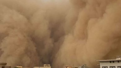 صورة عاصفة ترابية تضرب القصيم