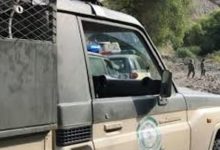 صورة إحباط تهريب 52 كيلوجراما من نبات القات بمنطقة عسير