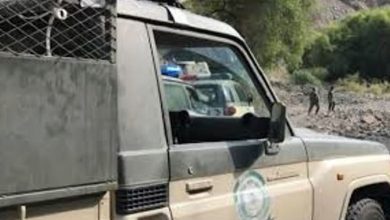 صورة إحباط تهريب 52 كيلوجراما من نبات القات بمنطقة عسير