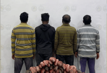 صورة ضبط 4 مقيمين مخالفين للائحة الأمن والسلامة لمزاولي الأنشطة البحرية بالمملكة