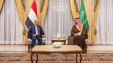 صورة وزير الدفاع يلتقي رئيس مجلس الوزراء اليمني ويستعرضان مستجدات الأوضاع