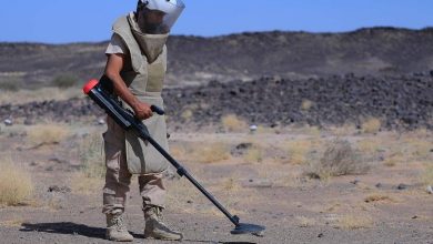 صورة “مسام” ينزع 1.839 لغمًا في اليمن خلال أسبوع