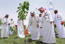 صورة البنك العربي الوطني «anb» يغرس 10 آلاف شجرة ذكية دعماً لمبادرة السعودية الخضراء