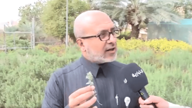صورة أستاذ عقاقير: الزعتر مضاد حيوي معزز لصحة الجهاز التنفسي
