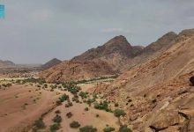 صورة وادي مشار بحائل.. نموذج للطبيعة الغناء وجمال الغطاء النباتي الفريد