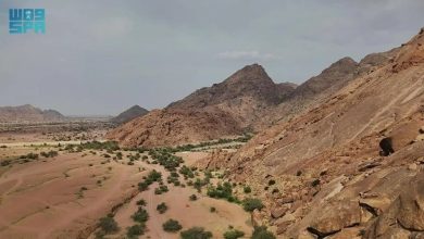 صورة وادي مشار بحائل.. نموذج للطبيعة الغناء وجمال الغطاء النباتي الفريد