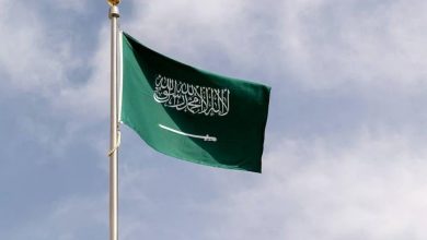 صورة كاتب سياسي: المملكة وسيط نزيه بين الهند وباكستان وسياستها لتثبيت دعائم الأمن الدولي