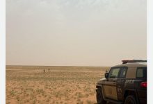 صورة ضبط مخالف لارتكابه مخالفة رعي في محمية الإمام عبدالعزيز بن محمد الملكية