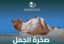 صورة صخرة الجمل في جنوب مدينة الوجه بتبوك.. معلم جيولوجي مميز
